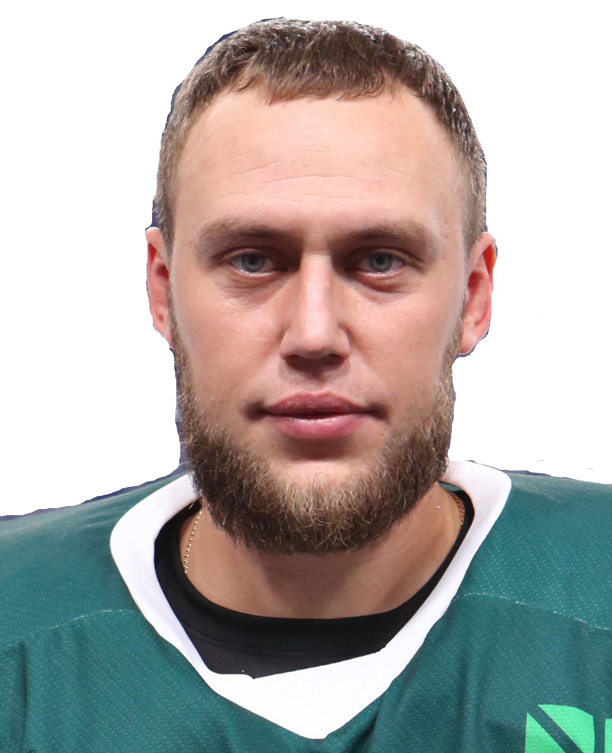 Шмелев