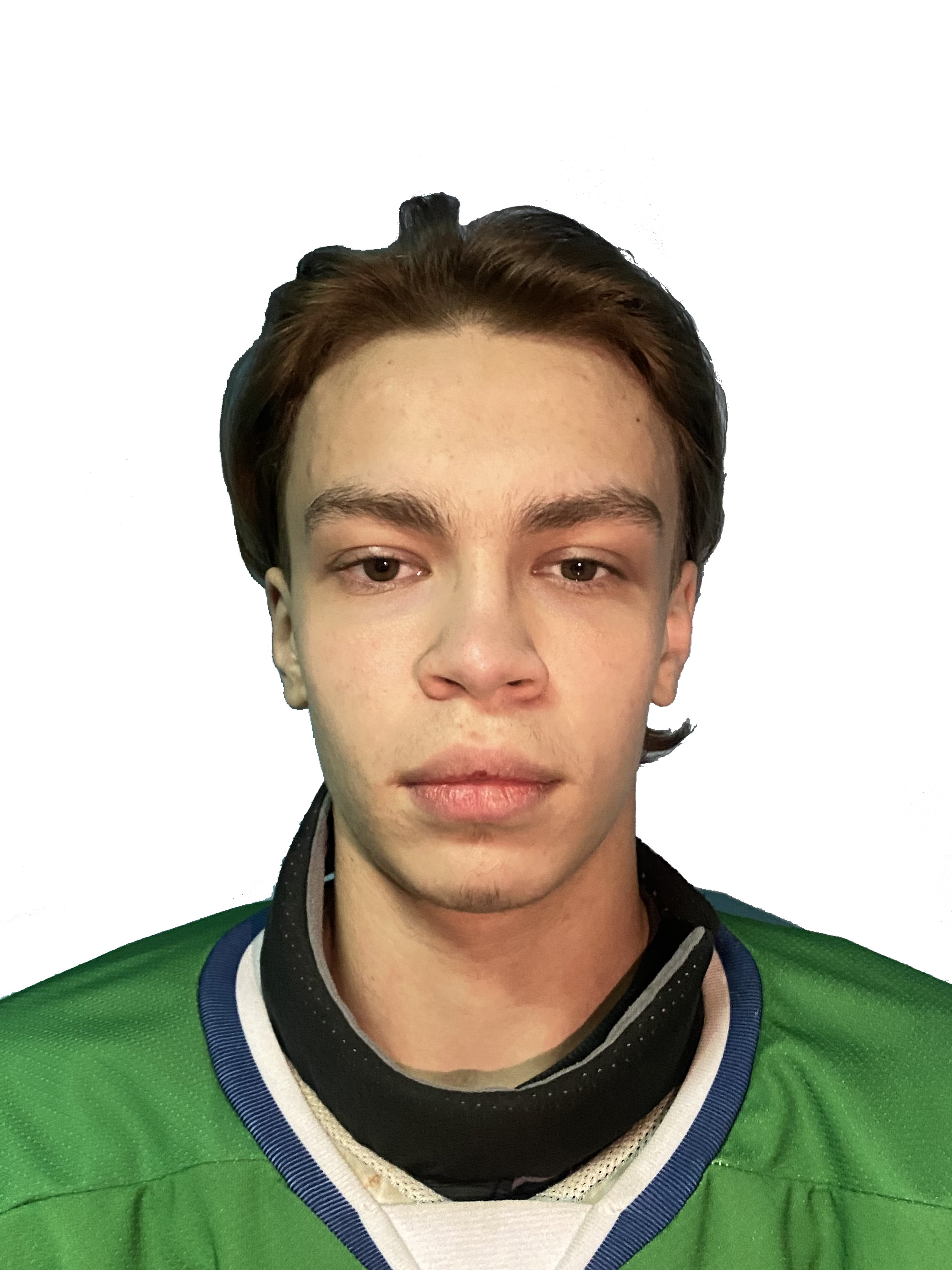 Колесников