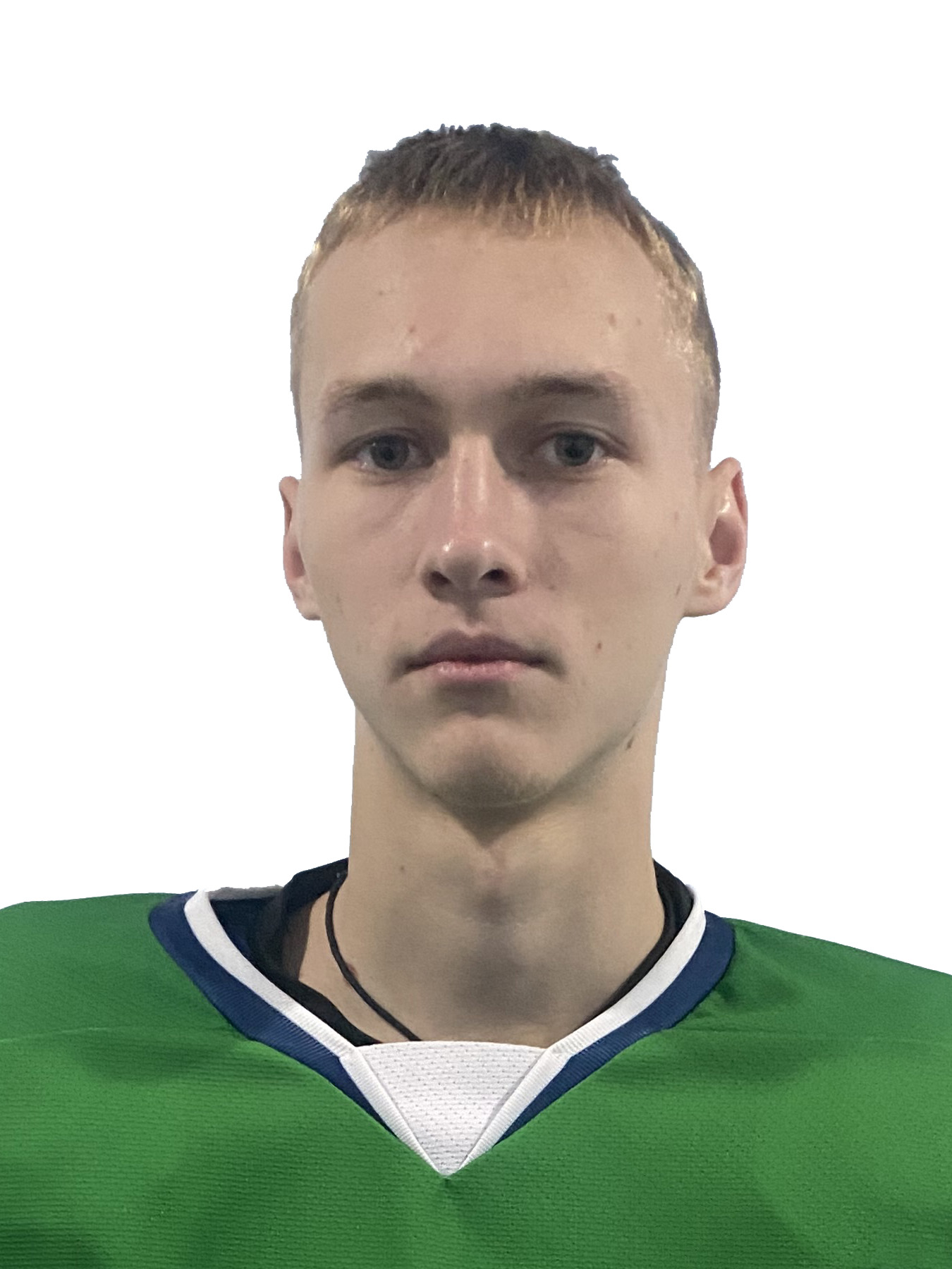 Моисеев